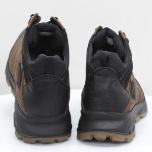 Мужские ботинки Mida (код 59852)