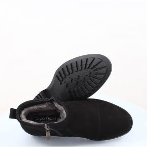 Мужские ботинки Carlo Delari (код 47789)