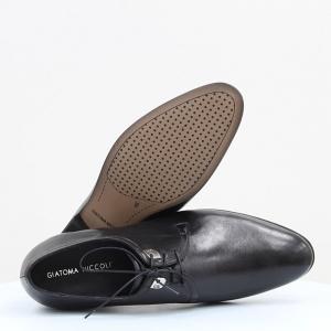 Мужские туфли Giatoma Niccoli (код 49334)