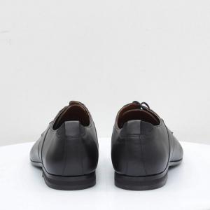 Мужские туфли Mida (код 52291)