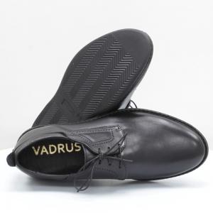 Мужские туфли Vadrus (код 56703)
