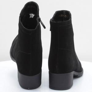 Женские ботинки Vladi (код 59837)