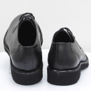 Мужские туфли Mida (код 59847)